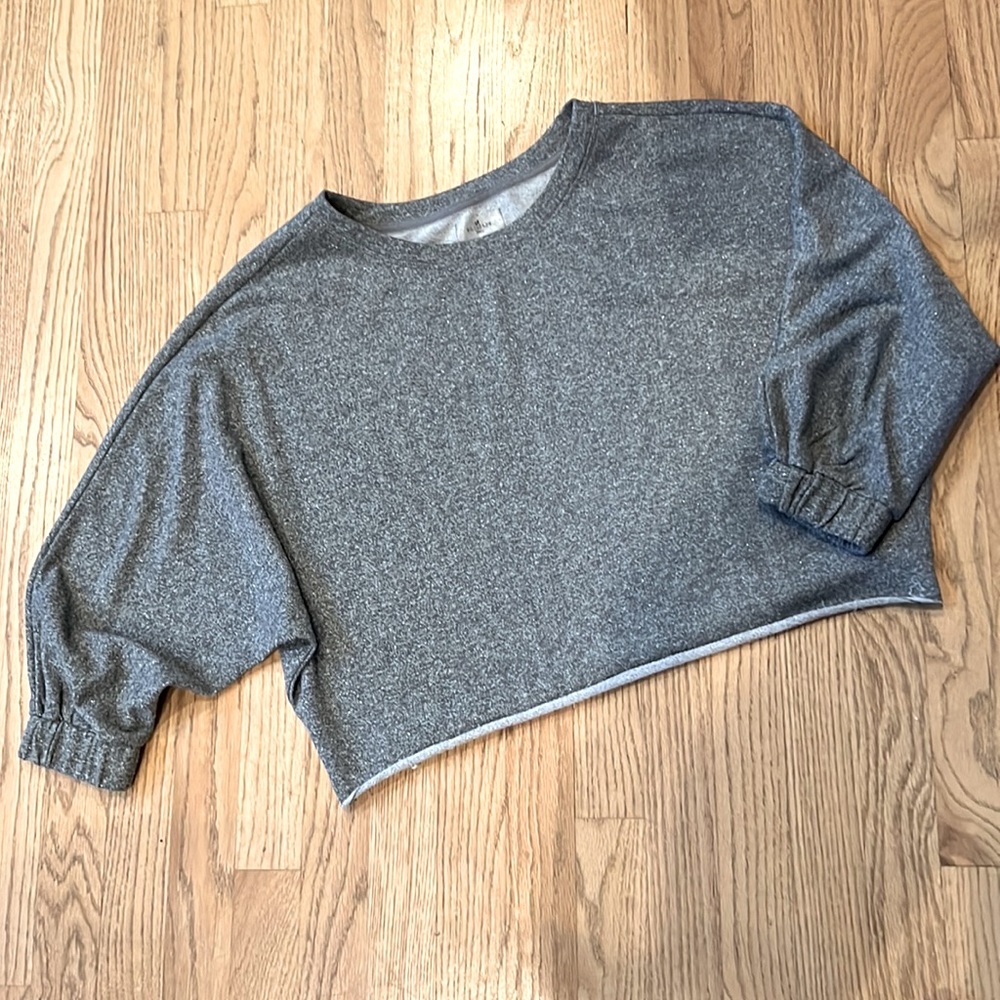EUC We Are Sundays Grey Shimmer Cropped Sweatshirt Size M